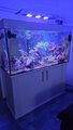 Meerwasseraquarium Komplett 