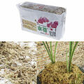 6L/12L Sphagnum Moisturizing Moss Organic Fertilizer Orchideen Phalaenopsi Moos