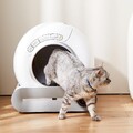 XXL Automatisch Selbstreinigende Katzenklo Toilette Katzentoilette App-Steuerung