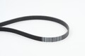 CONTINENTAL CTAM Keilrippenriemen 6PK2490 für A6 Q7 A4 A8 AUDI A5 VOYAGER VW 7L7