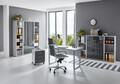 Arbeitszimmer Büromöbel Büro Büro-Set TABOR 5 Home Office in 5 Farbvarianten