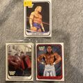 3 Merlin WWF Wrestling Trading Cards / British Bulldog / Sid Justice / Bushwacke