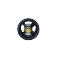 NRF Thermostat für Porsche Carrera Gt 980 5,7
