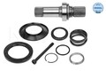 Meyle Steckwelle, Differential 100 498 0248 für AUDI SEAT VW