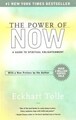 The Power of Now: A Guide to Spiritual Enlightenmen... | Buch | Zustand sehr gut