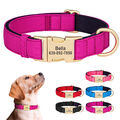 Personalisiert Gepolstert Hundehalsband mit Namen Gravur Wasserdicht Verstellbar