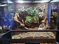 Terrarium, Paludarium Exo Terra 90 x 45 x 90 cm + vieles mehr 