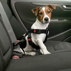 Karlie Auto Sicherheitsgeschirr XS 25-40 cm Sicherheitsgurt Hundegeschirr Hunde