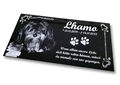 Granit Tier Grabstein Grabplatte Hund / Katze mit Foto + Text Gravur 60 x 30 cm