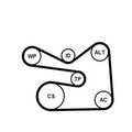 CONTINENTAL CTAM Keilrippenriemensatz (6PK1733K3) für Seat Ibiza IV Cordoba VW