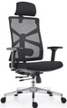 HOLLUDLE Ergonomischer Bürostuhl mit adaptiver Rückenlehne, Computertisch mit hoher Rückenlehne 