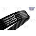 1x Keilrippenriemen OPTIBELT 6 EPK 1029 passend für FORD