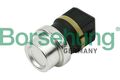 Borsehung B13134 Sensor, Kühlmitteltemperatur für AUDI SEAT SKODA VW