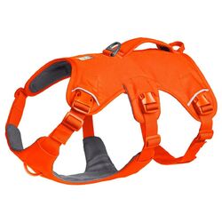 Ruffwear Hundegeschirr Web Master Harness Blaze Orange, diverse Größen, NEU