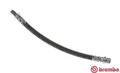 Flexibler Bremsschlauch T 85 065 BREMBO für AUDI A4 B5 A4 B5 Avant