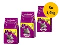 Whiskas Senior mit Huhn | 1,9kg Katzenfutter Sparpackung