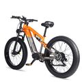 Randride 26 Zoll CST Elektrofahrrad 150OW Mountain E-Bike 48V 20AH EBike 50KM/H