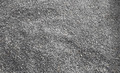 25kg BIO Sonnenblumenkerne schwarz Hühnerfutter Vogelfutter Wildvögel DE-ÖKO-003