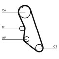 CONTINENTAL CTAM Wasserpumpe + Zahnriemensatz  u.a. für CITROËN, FIAT, LANCIA