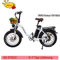 20 Zoll ONESPORT OT16-2 Elektrofahrrad 250W 48V 17Ah Citybike 25km/h Klapp EBike