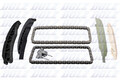 DOLZ Steuerkettensatz für BMW 3er Touring 320d Land Rover Freelander E46 E91