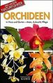 Orchideen. in Haus und Garten - Arten, Aufzucht, Pf... | Buch | Zustand sehr gut