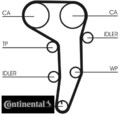 Continental CTAM CT1051WP3 Wasserpumpe + Zahnriemensatz Zahnriemensatz 