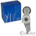 SKF SPANNROLLE KEILRIPPENRIEMEN OBEN für AUDI A4 (B6, B7) A6 (C5, C6) SEAT EXEO