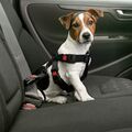 Karlie Auto Sicherheitsgeschirr XL 60-100 cm Sicherheitsgurt Hundegeschirr Hunde