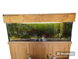 Aquarium 150x50x50 375 Liter Inkl Zubehör & Unterschrank