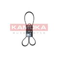 1x Keilrippenriemen KAMOKA 7016124 passend für AUDI BMW FORD OPEL PORSCHE VW