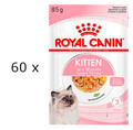 (EUR 18,62/kg) Royal Canin Kitten in Gelee Nassfutter für Katzenwelpen 60x 85 g