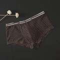 Unterwäsche Boxershorts Bulge Pouch Slips Dessous Low Waist Mesh transparent se