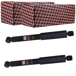2X ASHIKA ÖLDRUCK STOßDÄMPFER SATZ HINTEN PASSEND FÜR SEAT INCA VW CADDY