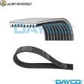 KEILRIPPENRIEMEN 9PK1930HD FÜR MERCEDES-BENZ AXOR2 OM457.948/981/980/957 12.0L 
