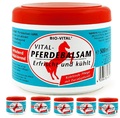 5 Pferdebalsam Pferdesalbe Salbe Balsam Gel Sportgel 500ml Bio-Vital® 5,50€ / L