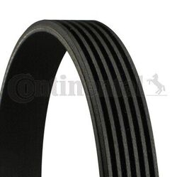CONTINENTAL CTAM (6PK1590) Keilriemen, Keilrippenriemen für AUDI CITROEN FIAT