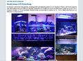 PopBloom 80-100CM LED Aquarium Beleuchtung Meerwasser Reef Aquarium Timer Lampe
