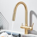 Gold 3 Wege Küchenarmatur Ausziehbar Brause Küche Wasserfilter Trinkwasserhahn