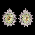 Sommer 925 Silber Ohrringe Oval Citrin Peridot Rhodolith Natur Edelstein Jude
