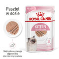 ROYAL CANIN Kitten 12x85g Nassfutter - Pastete für Kätzchen bis 12 Monate