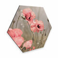 Hexagon - Alu-Dibond Delgado - Mohnblumenromantik Wanddeko Deko Wandbild