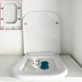 Eckig-Form Toilettendeckel Softclose WC Sitz Toilettensitz mit Absenkautomatik