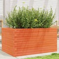 Pflanzkübel Blumenkübel Pflanzkasten Hochbeet Blumenkasten Massivholz vidaXL
