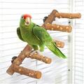 Papagei Vogel Barsch Treppe Kauen Spielzeug Kletterplattform Eichhörnchen kleines Tier