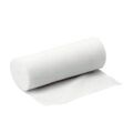 B.Braun Askina Elast fine elastische Fixierbinde Bandage Binde 10 cm x 4 m 20Stk