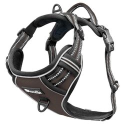 Hundegeschirr Kleine Hunde, Anti-Zug Brustgeschirr mit Tasche Reflektierend, XS