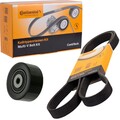 CONTINENTAL CTAM KEILRIPPENRIEMEN-SATZ passend für PEUGEOT 307 | 6PK1145K4