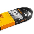 Continental ContiTech 6PK1613 Keilrippenriemen für VW Golf V Schrägheck (1K1)