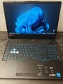 ASUS TUF Gaming F15 - Bitte B. Lesen! (RTX 3060, 16Gb RAM, 512Gb Rom, i5-11400)
